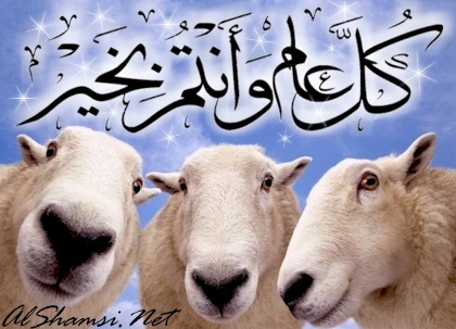 eidadha330 (9).jpg - 50.70 kB 
